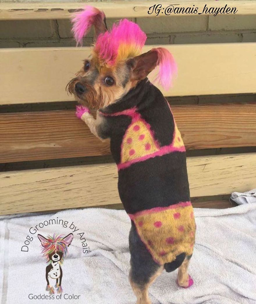 They Are Turning Dogs Into Lovely Mystical Creatures And The Result Is Amazing