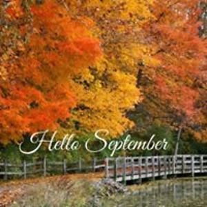 citygalinwyoming avatar