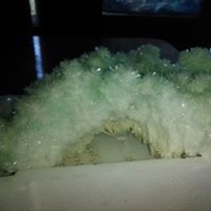 birdoverdarkwaters avatar