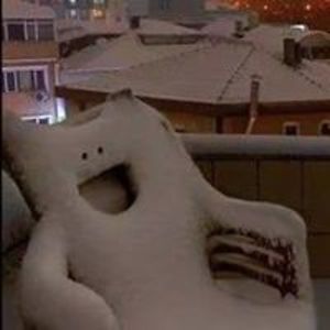 thieme_florian avatar