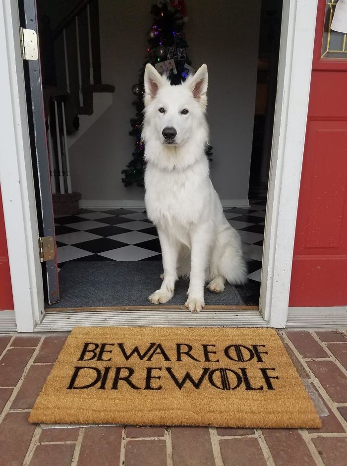 My Friend Got The Best Possible Doormat For Christmas