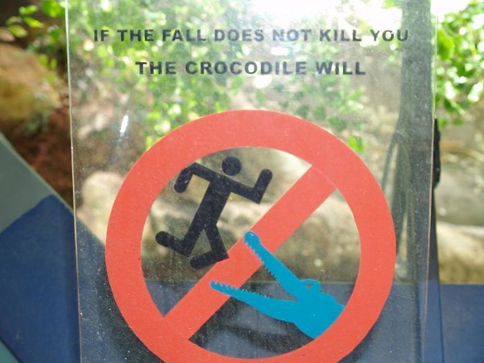 Si la caída no te mata, lo harán los cocodrilos