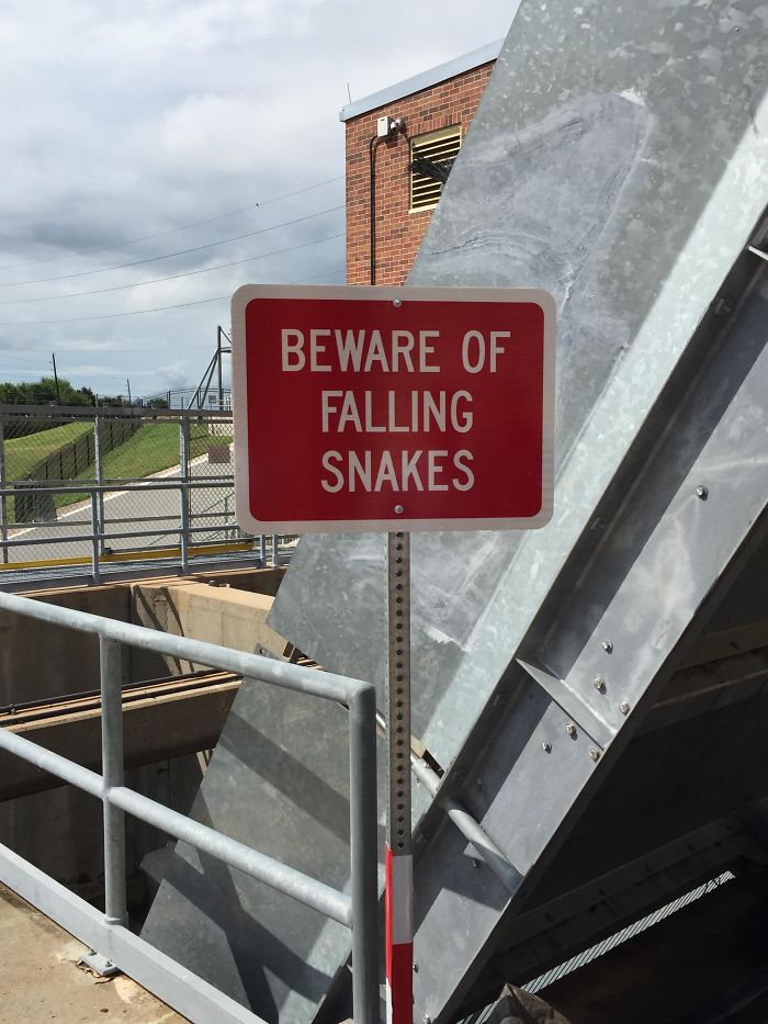 Cuidado con las serpientes que caen
