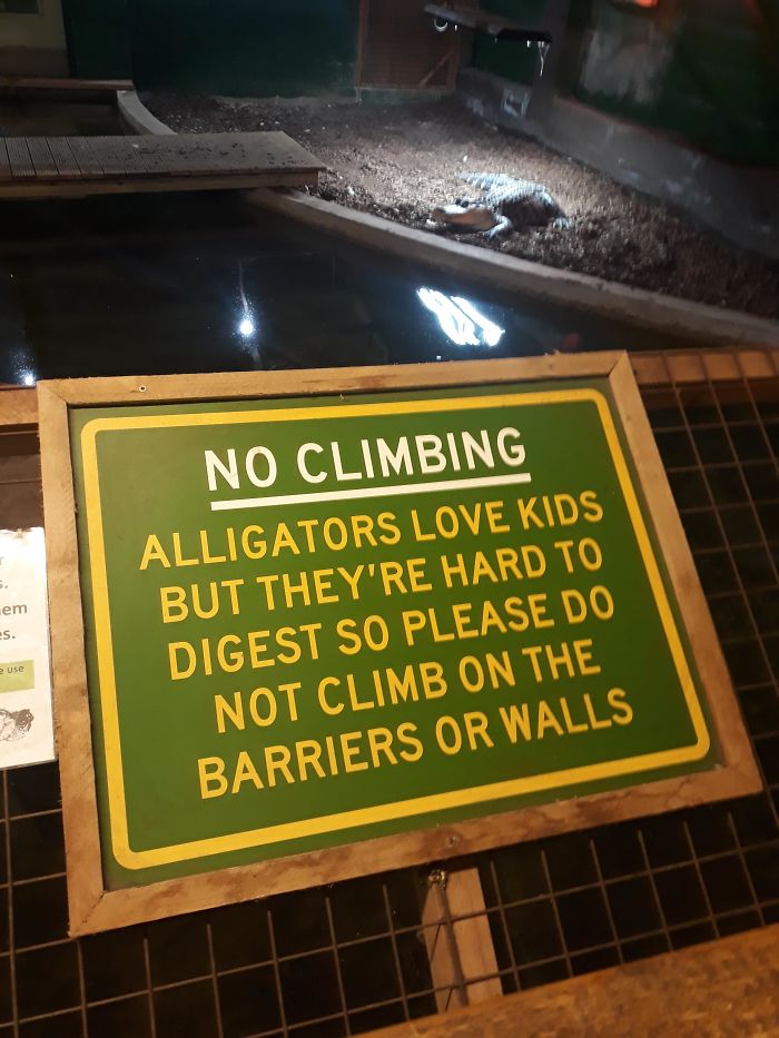 A los aligators les encantan los niños, pero les cuesta digerirlos, así que no suban a las vallas o paredes