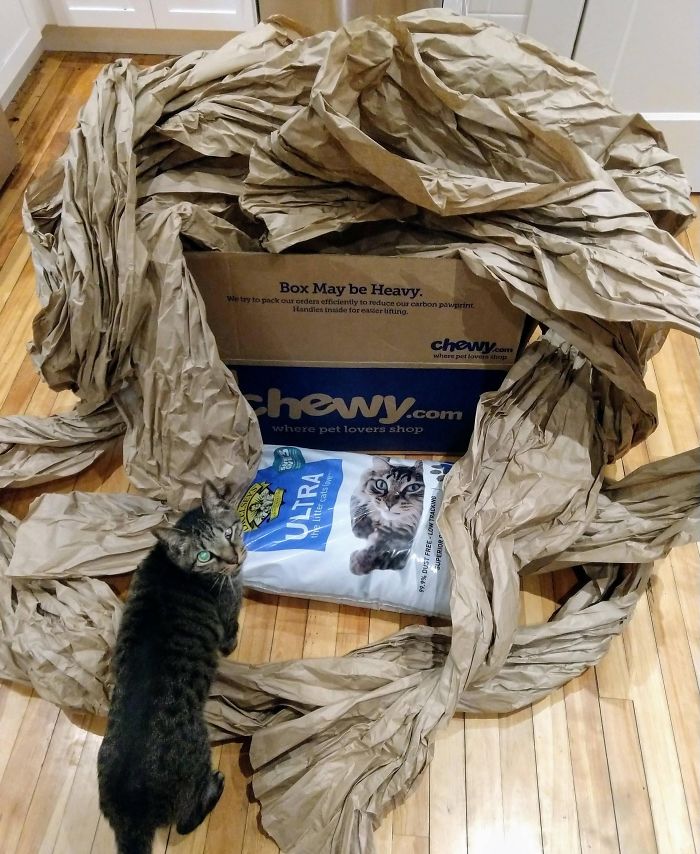 50 Feet Of Paper For 1 Bag Of Kitty Litter