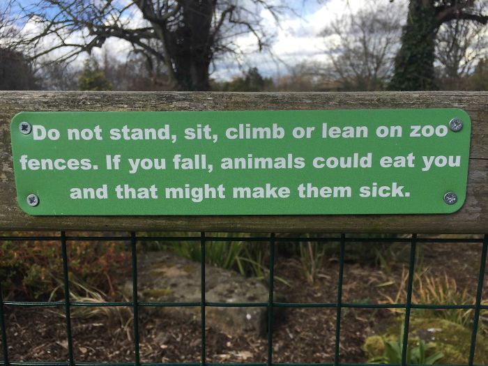 No subirse, sentarse, pararse o apoyarse en las vallas del zoo. Si te caes, los animales podrían comerte y ponerse enfermos