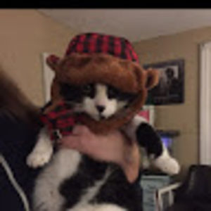 hannataskerstudent avatar