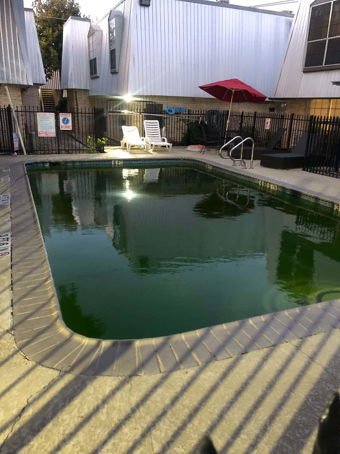 El casero dejó de limpiar la piscina porque venían a jugar niños que no vivían ahí
