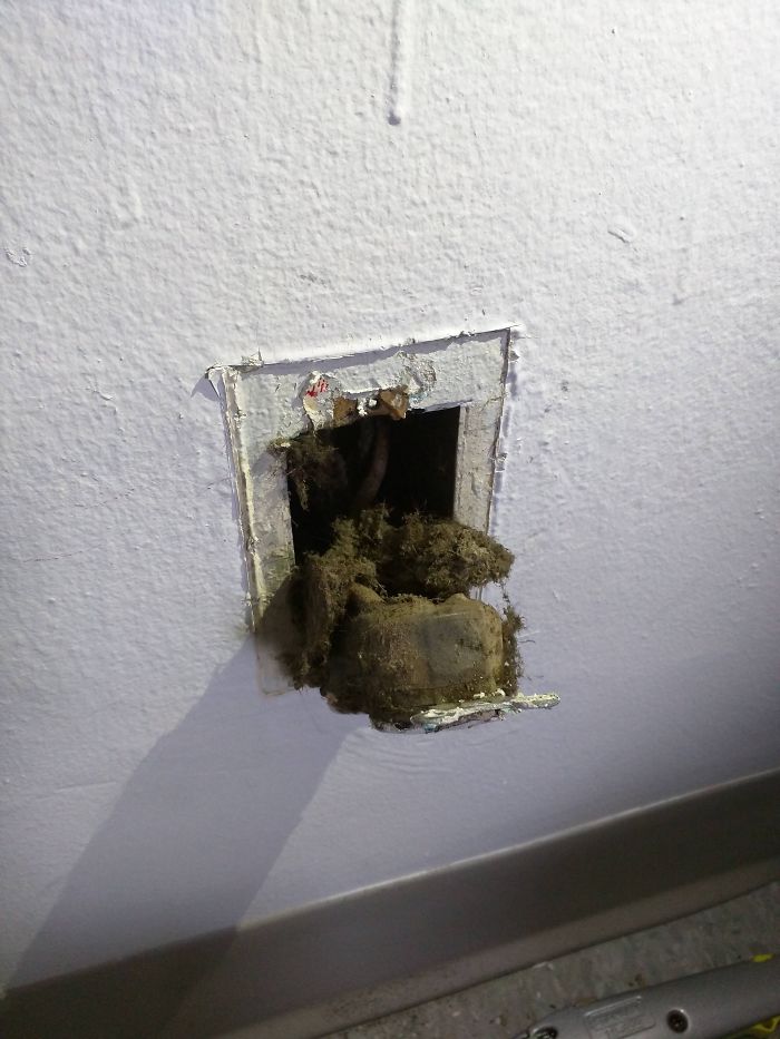 Landlord Ignored Me For Two Months About My Sparking Outlet, Got Worried About A Fire And Did It Myself And I Find This