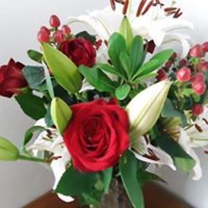 gracelynn72543 avatar