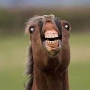 sa_snotrocketeer avatar