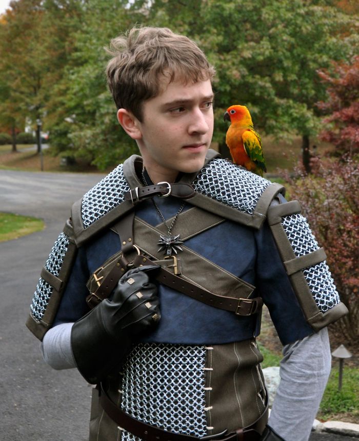 My Wife And I Built This Kaer Morhen Witcher 3 Armor For Our Son's School Halloween Parade. Bird Is Our Sun Conure Parrot Lily
