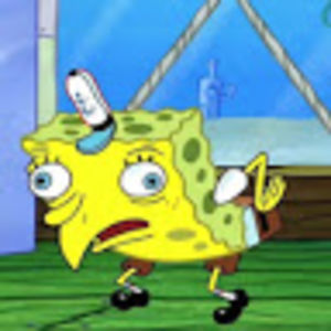 anikamcmullen avatar