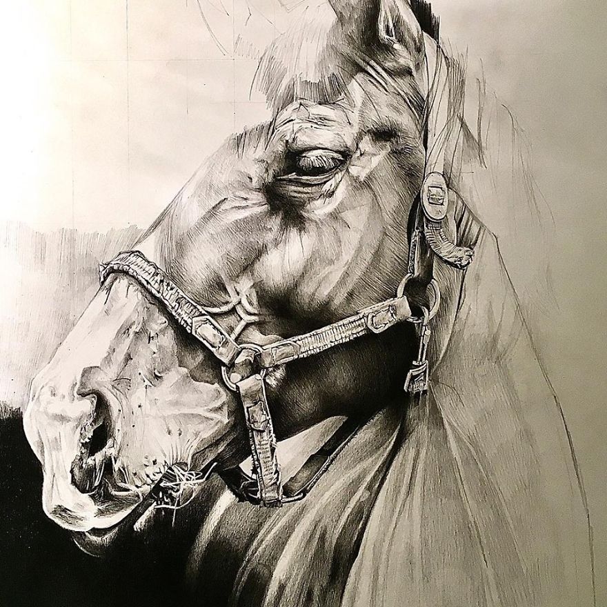 It Took Me 25 Hours To Draw This Horse Using Only Colored Pencils