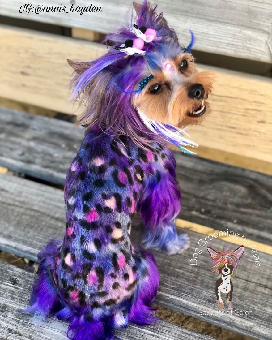 They Are Turning Dogs Into Lovely Mystical Creatures And The Result Is Amazing