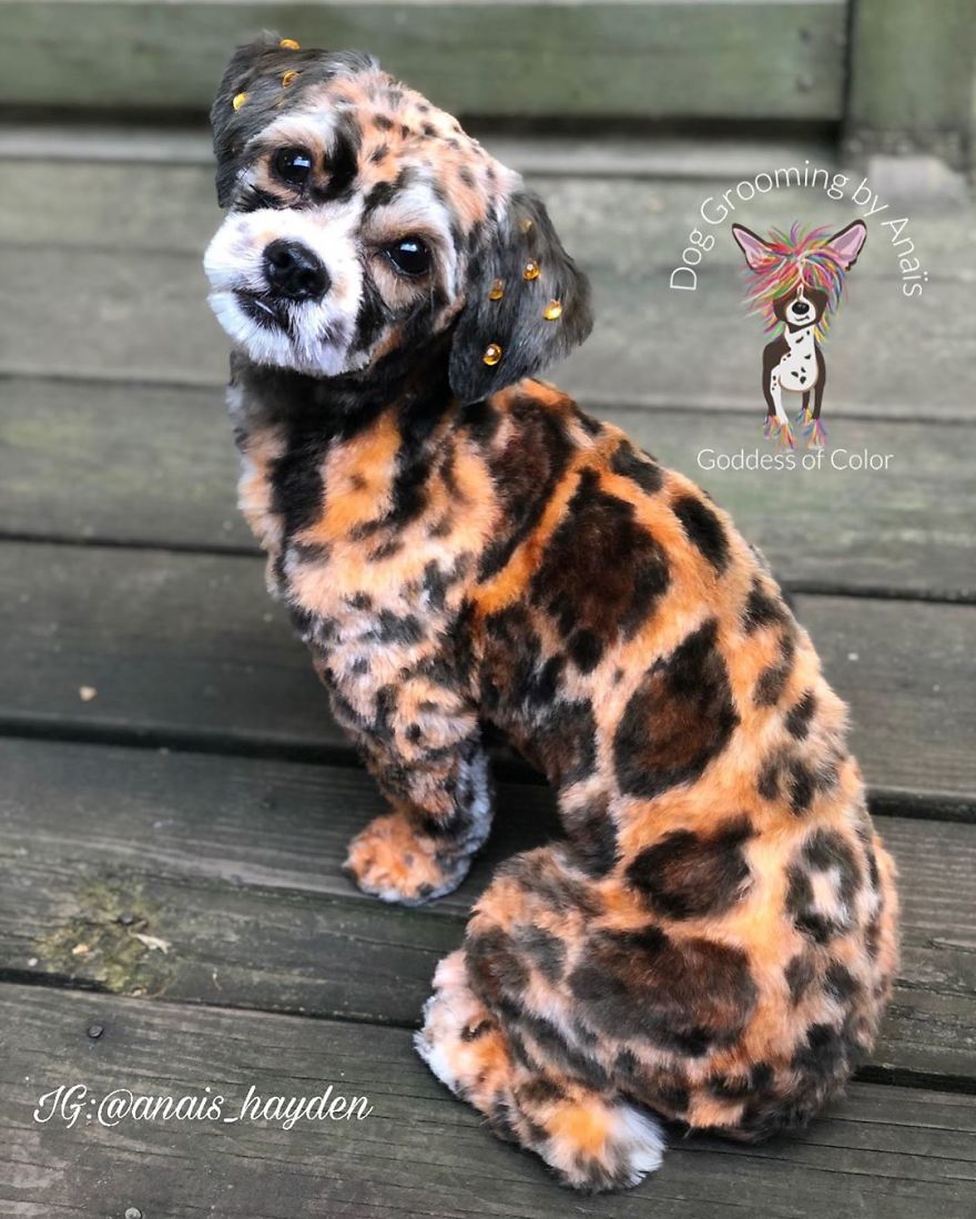 They Are Turning Dogs Into Lovely Mystical Creatures And The Result Is Amazing