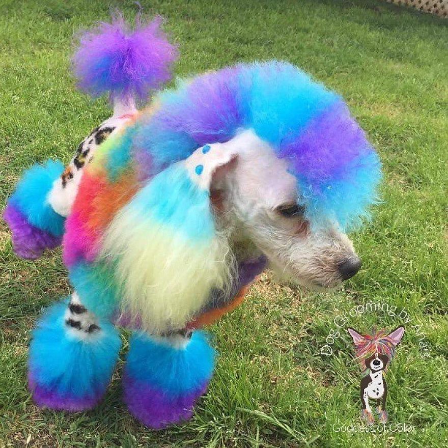 They Are Turning Dogs Into Lovely Mystical Creatures And The Result Is Amazing