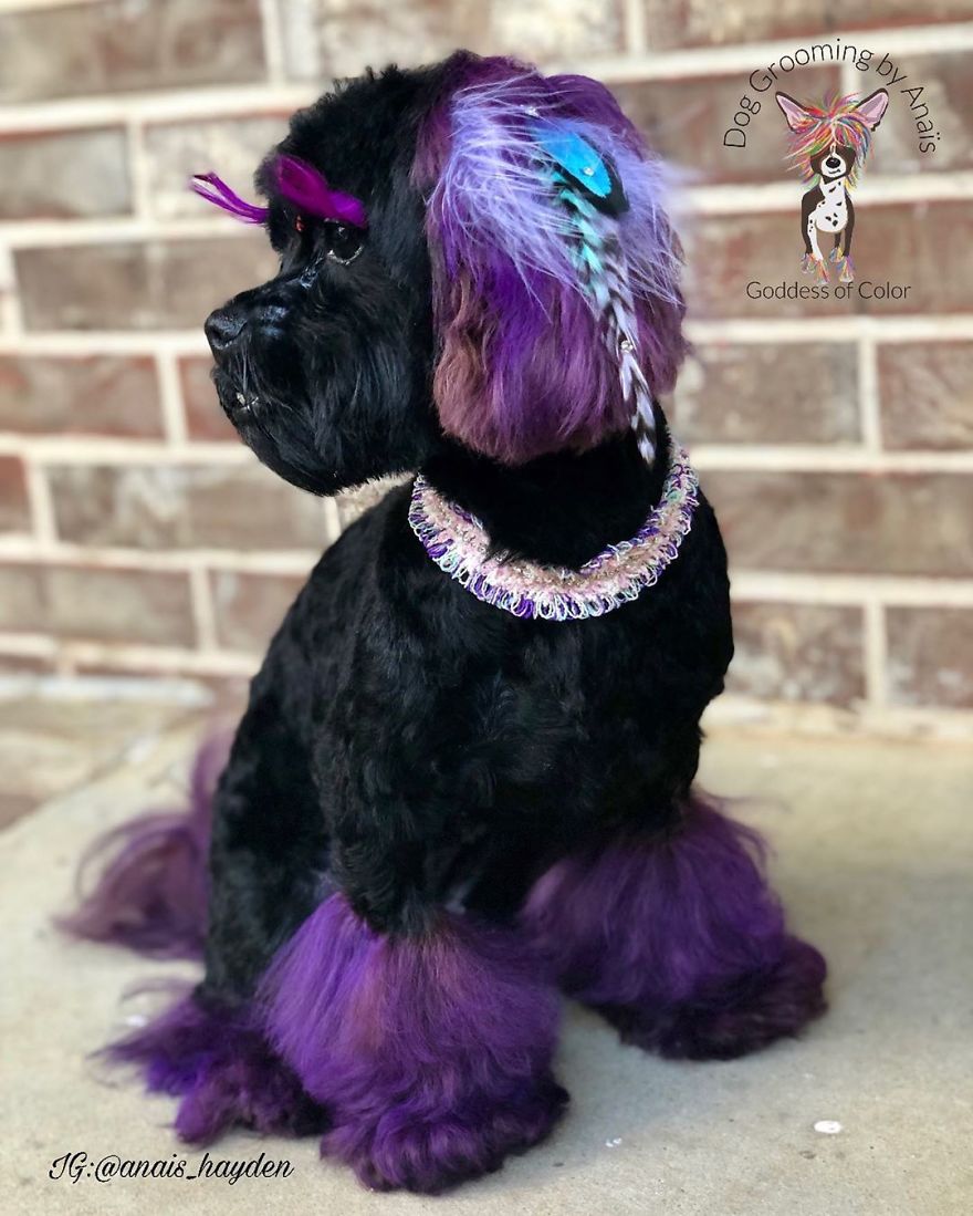 They Are Turning Dogs Into Lovely Mystical Creatures And The Result Is Amazing