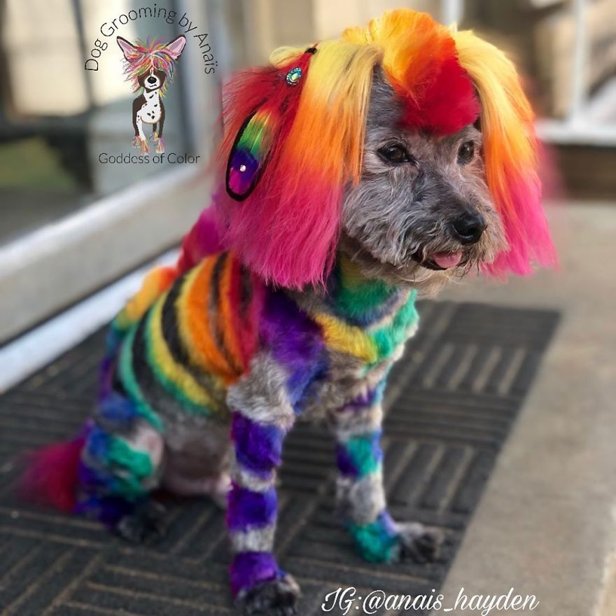 They Are Turning Dogs Into Lovely Mystical Creatures And The Result Is Amazing
