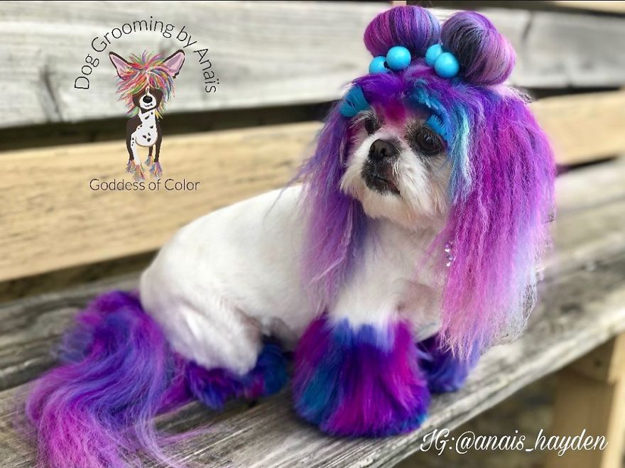 They Are Turning Dogs Into Lovely Mystical Creatures And The Result Is Amazing