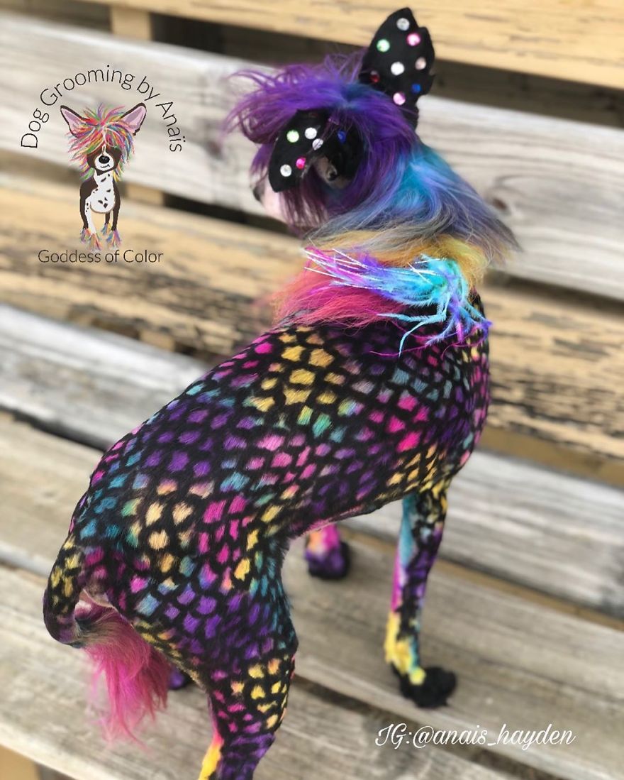 They Are Turning Dogs Into Lovely Mystical Creatures And The Result Is Amazing
