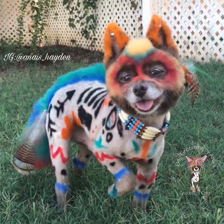 They Are Turning Dogs Into Lovely Mystical Creatures And The Result Is Amazing