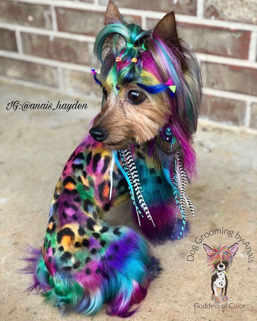 They Are Turning Dogs Into Lovely Mystical Creatures And The Result Is Amazing