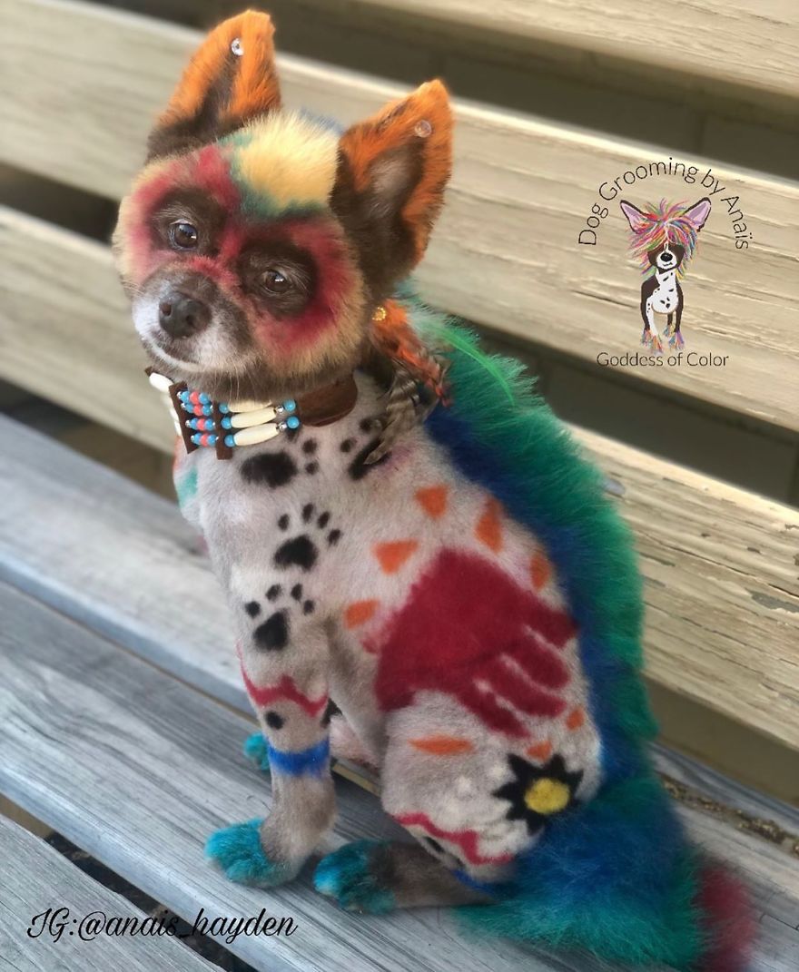 They Are Turning Dogs Into Lovely Mystical Creatures And The Result Is Amazing