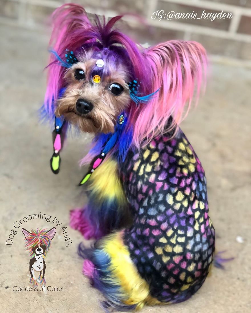 They Are Turning Dogs Into Lovely Mystical Creatures And The Result Is Amazing
