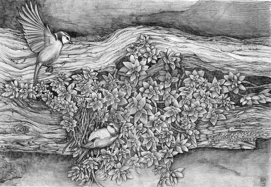 Naturalistic Drawings Naturalistic Drawings