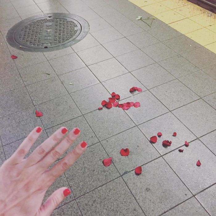 When Ur #notengaged Waiting For The Train And U Look Down And There Are The Remnants Of A 🧐 Proposal Gone Wrong? Breakup Gone Right? Deadly Florist Battle? Idk What Happened Here But Im Gonna Go Home And Buy My Own Flowers, And I’ll Be Like “Will U Take Urself And Be The Coolest Person In Whatever U Do For The Rest Of Ur Life?” And U’ll Be Like “Self, U Had Me At ‘After Picking Up Shampoo Im Gonna Get Avocados For Guacamole, They Are On Sale.’” Until That Guy Texts Me Back Tho We’ll See #committoyourself #blessed