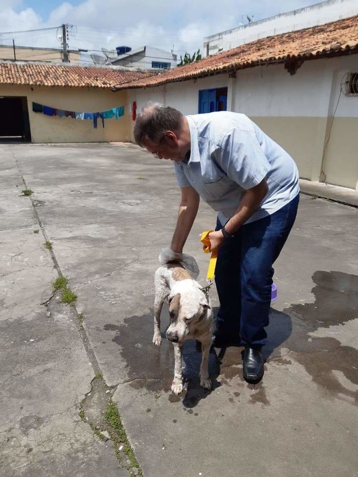 Brazilian priest welcomes stray dogs inside church to be adopted 5dafb863135d2 jpeg  700 - O que fez o cachorro ao ver a porta da igreja aberta?