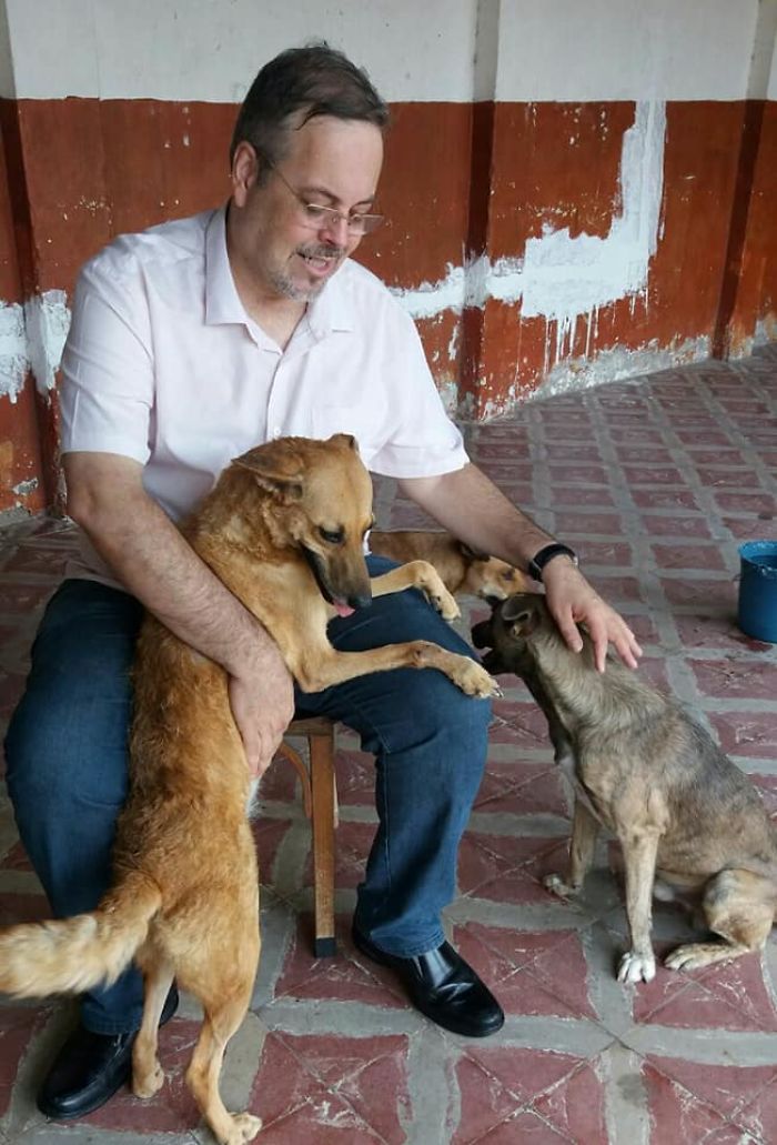Brazilian priest welcomes stray dogs inside church to be adopted 5daff1fd674fe  700 - O que fez o cachorro ao ver a porta da igreja aberta?