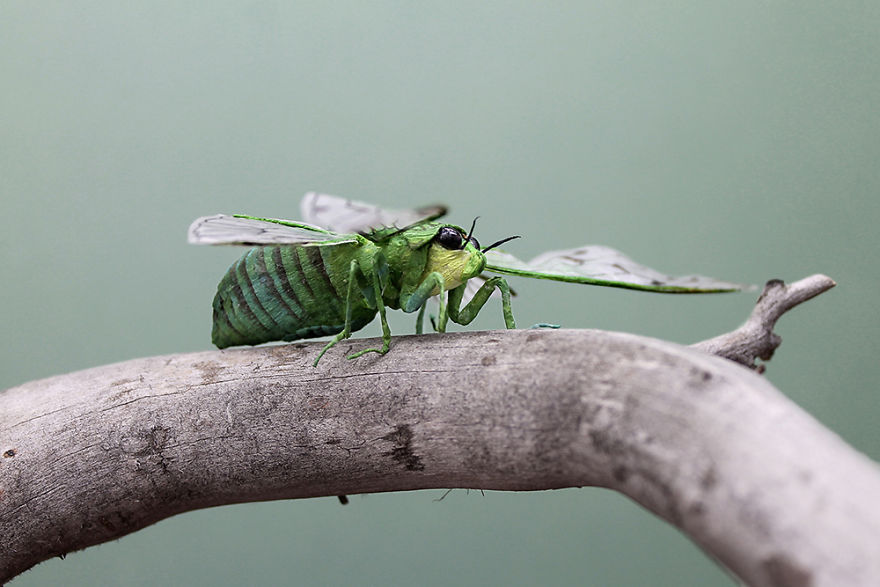 Artist Tina Kraus Makes The Most Incredible Lifelike Insects From Paper