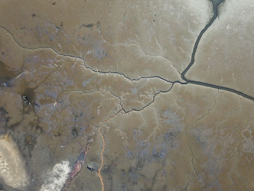 The Drained Lake Showed Me Its Second Face