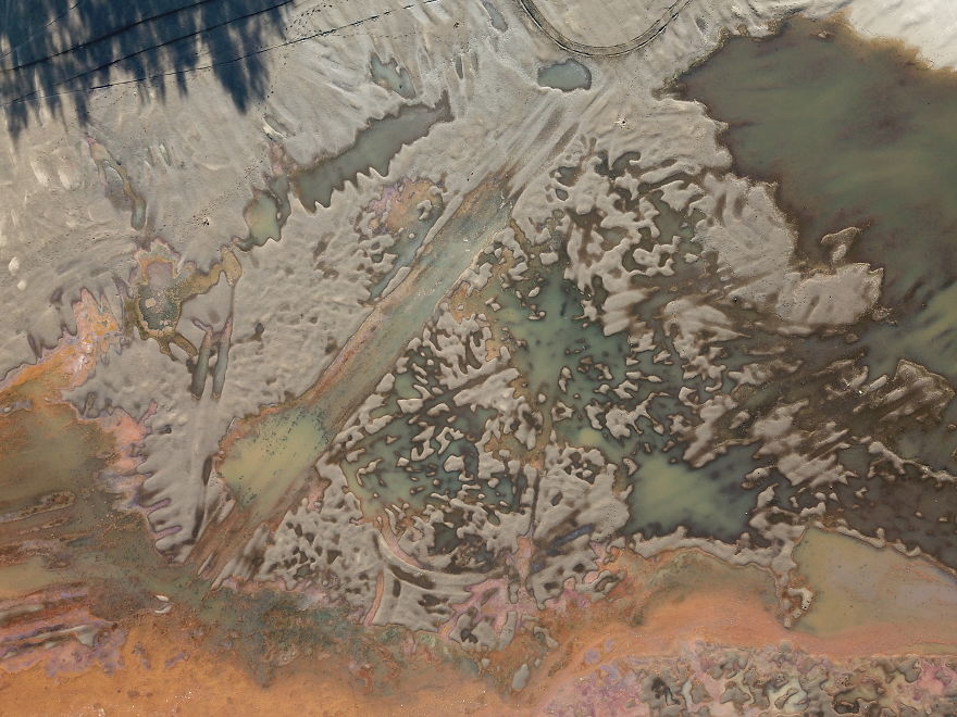 The Drained Lake Showed Me Its Second Face