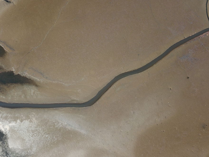 The Drained Lake Showed Me Its Second Face