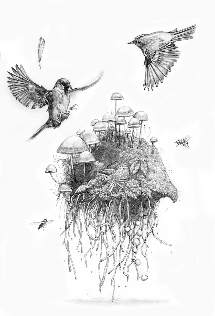 Naturalistic Drawings Naturalistic Drawings