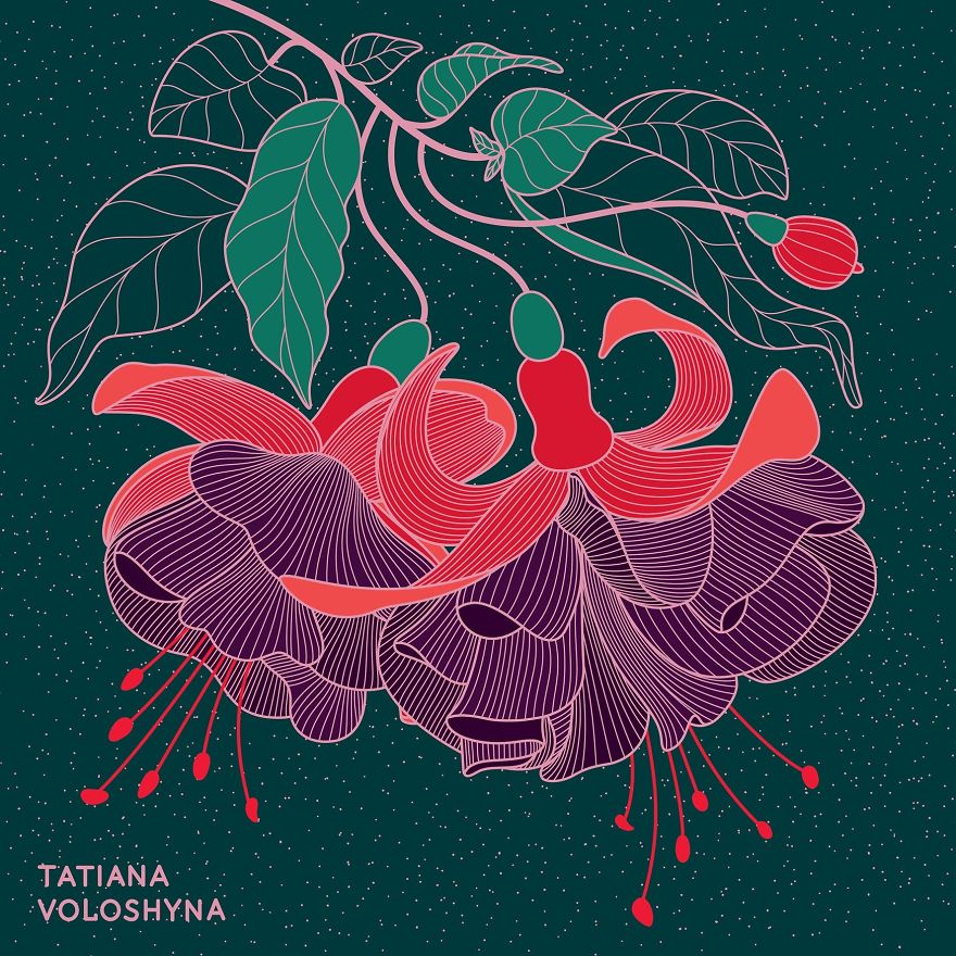 Illustrations From Adept Lines & Botanical Addict