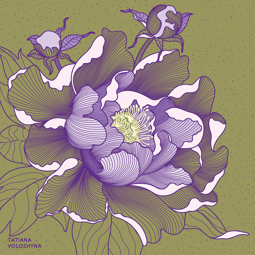 Illustrations From Adept Lines & Botanical Addict