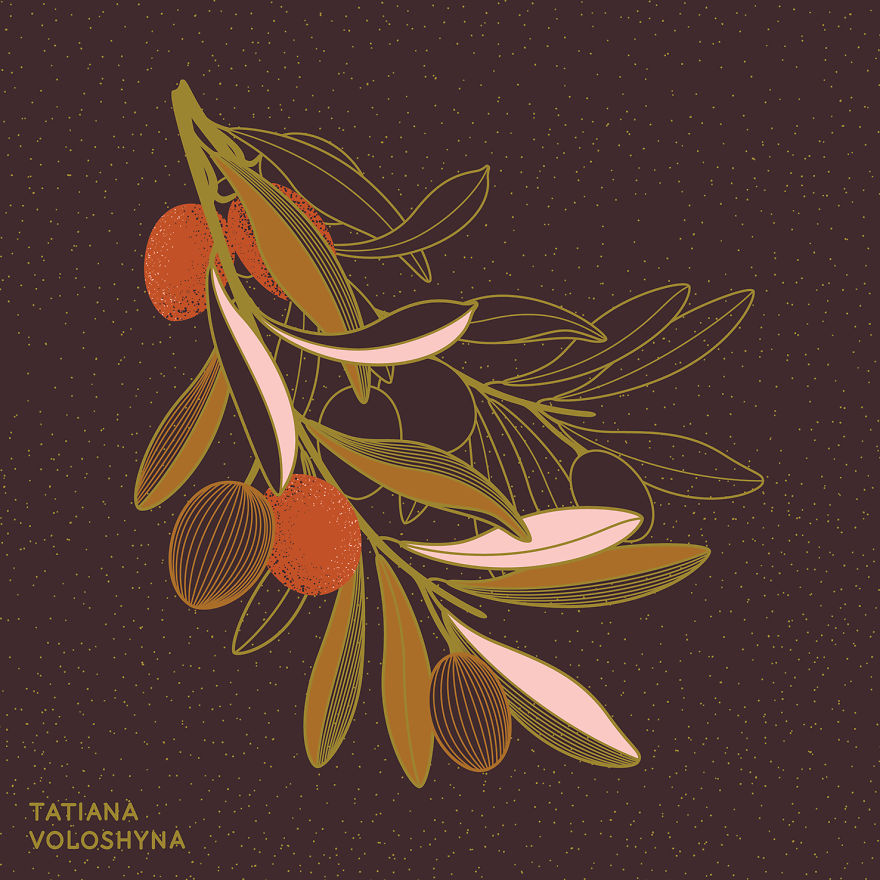 Illustrations From Adept Lines & Botanical Addict