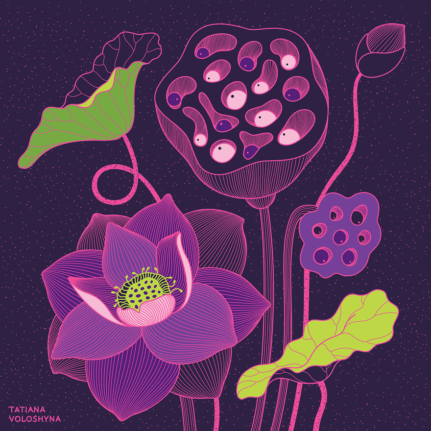 Illustrations From Adept Lines & Botanical Addict