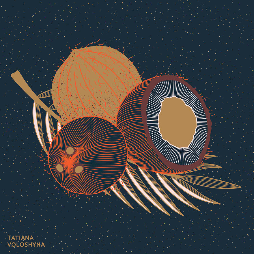 Illustrations From Adept Lines & Botanical Addict