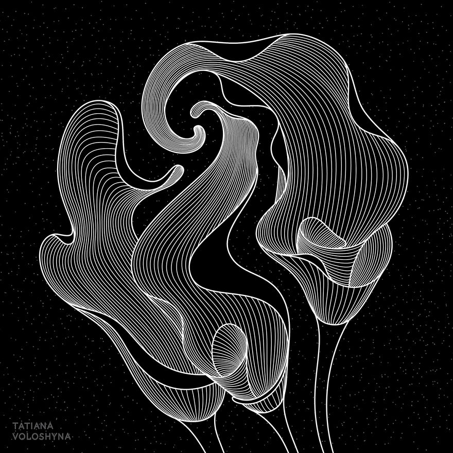 Illustrations From Adept Lines & Botanical Addict