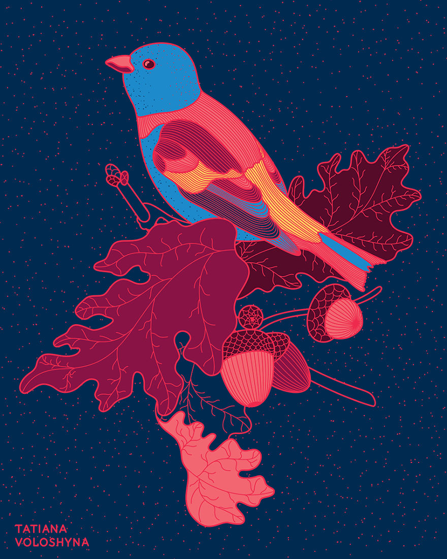 Illustrations From Adept Lines & Botanical Addict