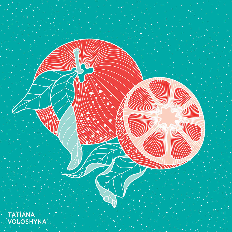 Illustrations From Adept Lines & Botanical Addict