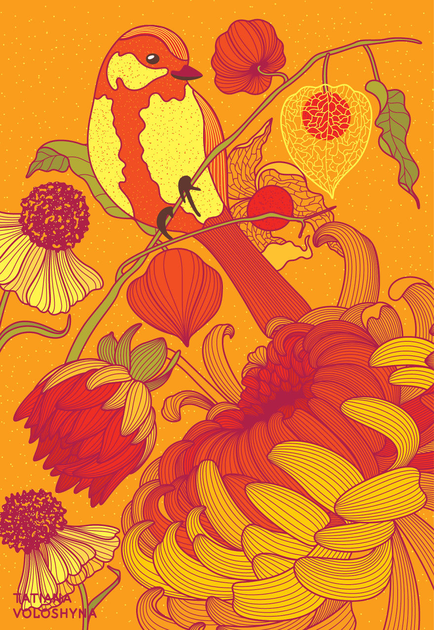 Illustrations From Adept Lines & Botanical Addict