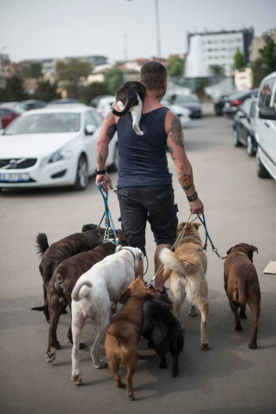 Meet The Animal Whisperers, The Couple Whose Family Has 80 Rescued Animals Meet The Animal Whisperers, The Couple Whose Family Has 80 Rescued Animals