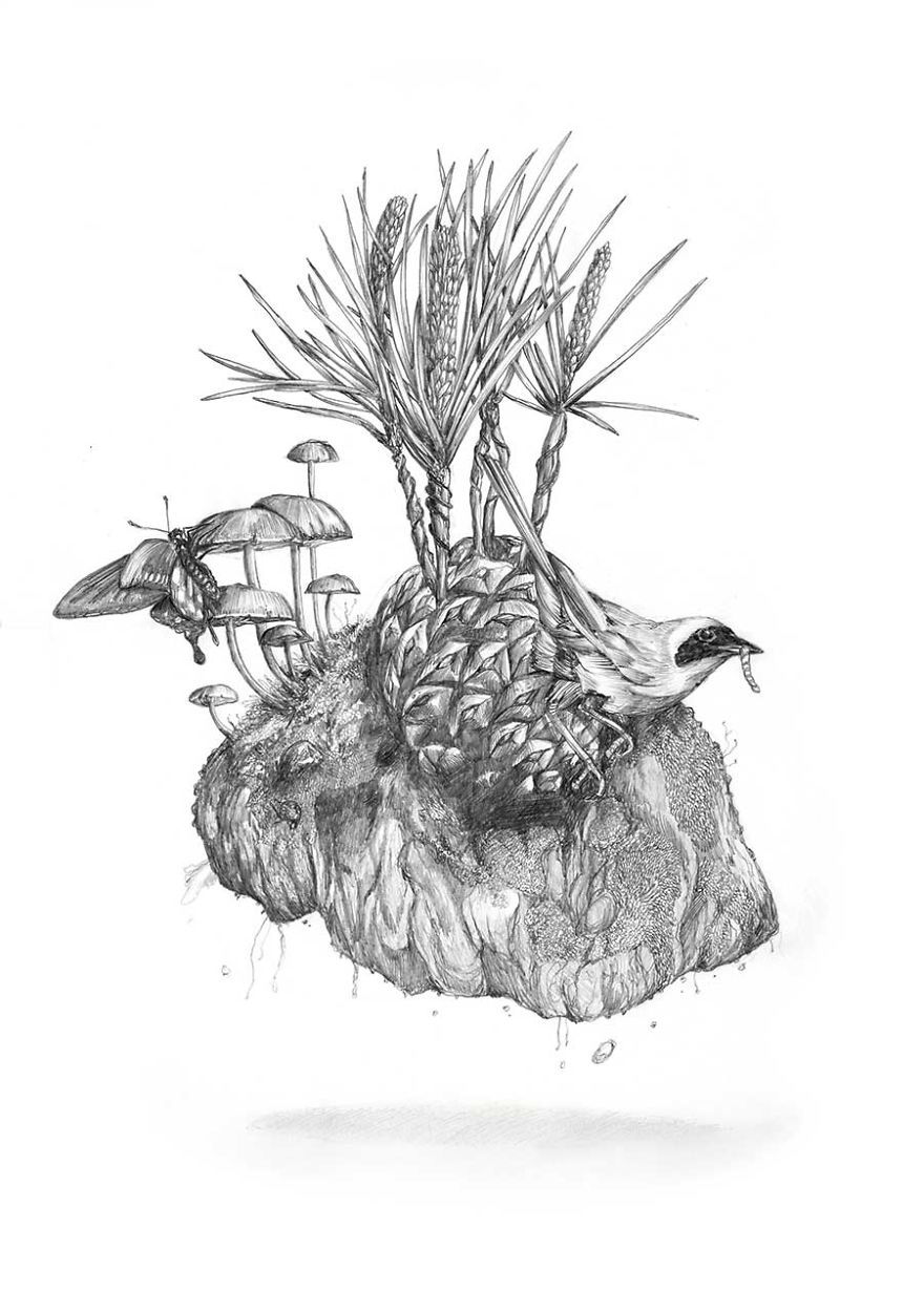 Naturalistic Drawings Naturalistic Drawings
