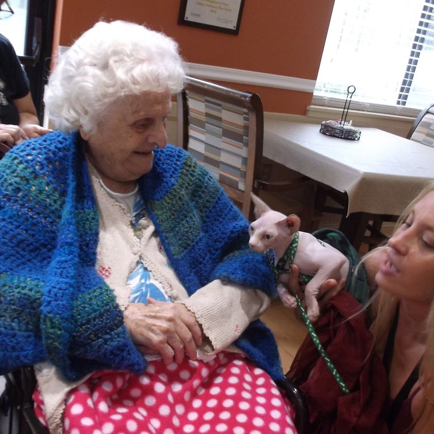 Service Cat Healing My Life And Others At Assisted Living Homes Service Cat Healing My Life And Others At Assisted Living Homes